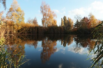 Picturesque view of lake and trees on autumn day