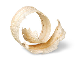 Spiral curled up wood shavings