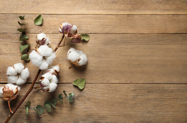 Dry cotton branch with fluffy flowers and leaves on wooden table, flat lay. Space for text