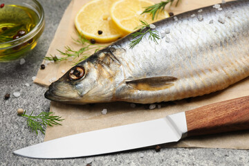 Delicious salted herring, olive oil, lemon and dill on grey table, closeup