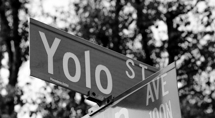 YOLO street sign 