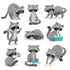 Vector set of cute raccoon characters in cartoon style isolated on white background. Racoon with different facial expressions and poses, playing, eating and washing. Adorable drawing for kids. - obrazy, fototapety, plakaty