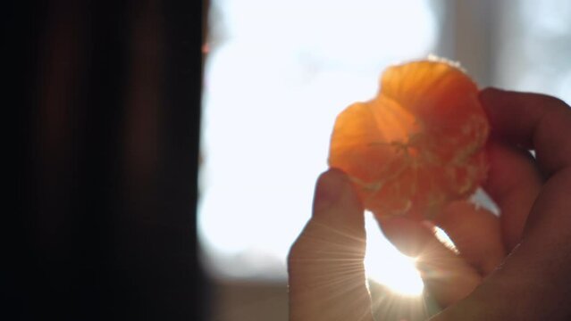 Close up of female hands holding small fresh slice of mandarin on background beautiful calm sunset or sunrise. Unrecognizable woman broke off piece of tangerine. Selective focus. Food concept