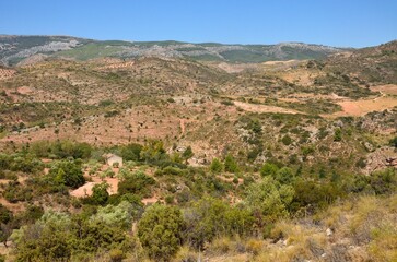 Fototapeta na wymiar Paisaje de la Sierra de las Nieves