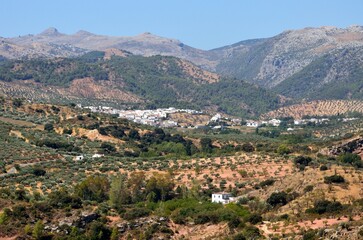 Fototapeta na wymiar Paisaje de la Sierra de las Nieves