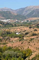 Fototapeta na wymiar Paisaje de la Sierra de las Nieves