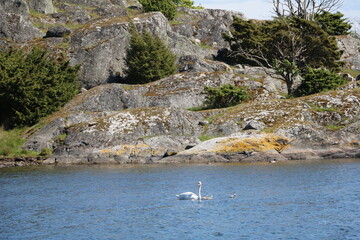 Summer at Styrsö island in Gothenburg, Sweden