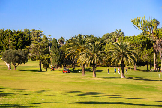 Vega Baja del Segura - Orihuela Costa - Campos de golf