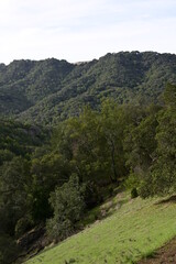 landscape in the mountains