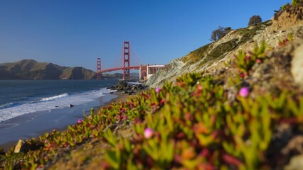 Fototapeta na wymiar Golden Gate Bridge in the Spring