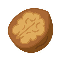 Walnut nut icon. Walnuts in nutshell. Vector illustration