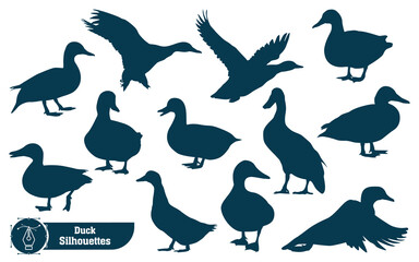 Collection of Animal duck silhouette in different poses