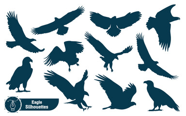 Collection of Animal bird Eagle silhouette in different poses