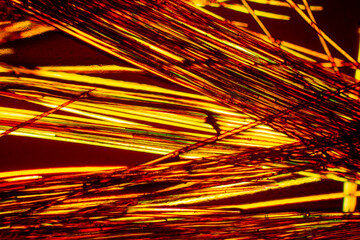 Absract micrograph of fibers from a protea flower.