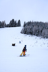 Ski area Le Motte Dossaccio near Bormio ski resort, Lombardy region, Italy