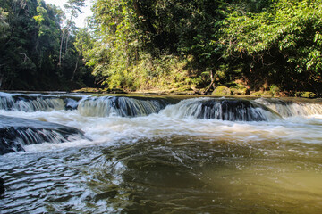 Cachowira do pedernau no Parque nacional serra do divisor, em Mâncio Lima, acre