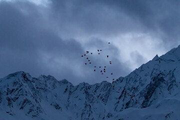 silhouette of Flock of birds flying over foggy mountain peaks in Seward, Alaska during winter