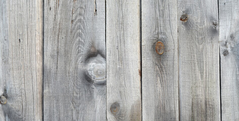 Old gray wooden planks as a rustic textured background with copy space.