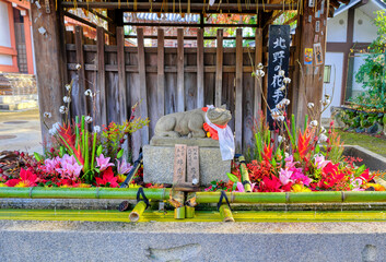 京都、北野天満宮の花手水