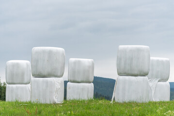 Haylage bales wrapped in white foil will provide food for farm animals during the winter. A green meadow and trees after summer hay