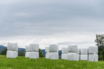 Haylage bales wrapped in white foil will provide food for farm animals during the winter. A green meadow and trees after summer hay - 561129439
