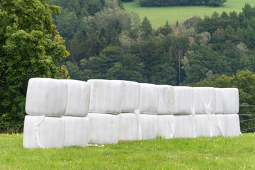 Haylage bales wrapped in white foil will provide food for farm animals during the winter. A green meadow and trees after summer hay - 561129464