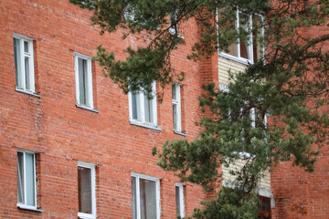 Fototapeta na wymiar Red brick residential building with white plastic windows and balconies with big pine branch crossing the view