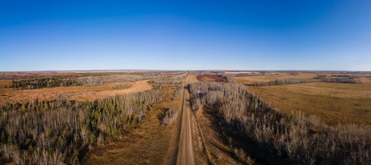 Aerial of a long gravel farm road surrounded by leafless trees and dry looking spring fields. The sky is clear, and blue become light colored on the horizon.
