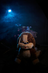 A toy furry big brown dog in a dark room with flowers illuminated like moonlight. A photo of a soft toy as a mysterious gift to a child