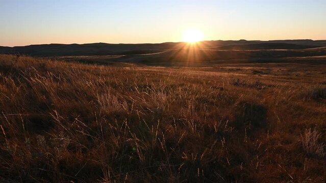 Sunset footage of a dry prairie landscape with the sun on the horizon and grass in the foreground. The focus on the grass is soft with the background sharp.

