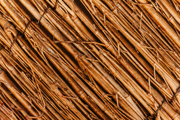 wood texture