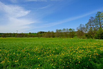 Die Baunachaue bei Pfarrweisach, Naturpark Ha&szlig;berge, Landkreis Ha&szlig;berge, Unterfranken, Franken, Bayern, Deutschland