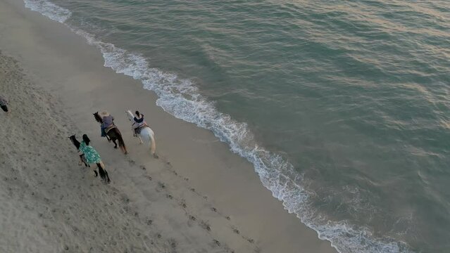 caballos en la orilla de la playa 4k