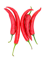 Red chilli, a few peppers isolated on a white background