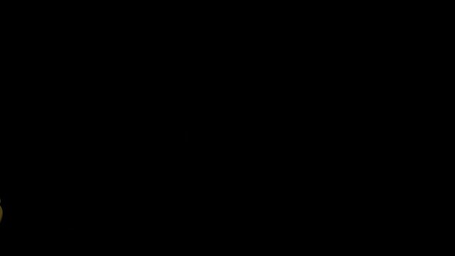 Astrological sign. Zodiac sign replace each other in the night sky. Horoscope. Animation seamless loop.