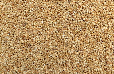 Close-up macro shot of the quinoa grains lying on a flat surface.