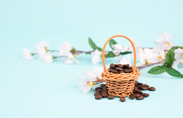 Fototapeta na wymiar Wicker basket with roasted coffee beans, cherry blossom, greeting card for easter holiday, spring season 