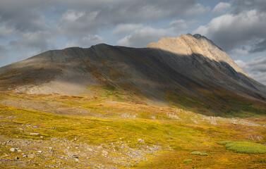 Wilcox ridge trail, Banff NP Canada