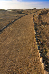 Obraz na płótnie Canvas road in the desert