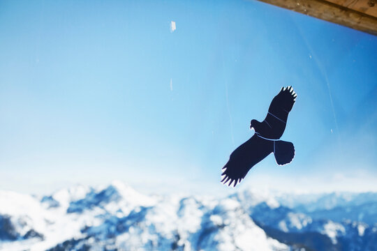 Bird sticker on glass against mountains