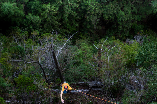 Man rock climbing in the woods to ledge top rope Squamish Chief
