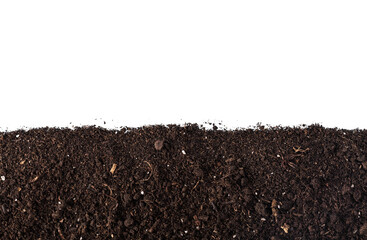 Dark dirt border soil for plant - obrazy, fototapety, plakaty