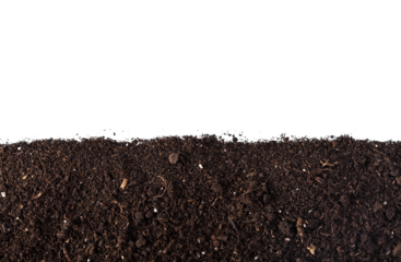Dark dirt border soil for plant