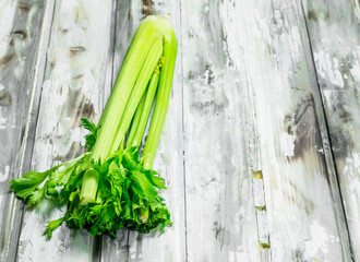Fresh green celery.