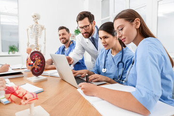Doctor and interns using laptop in university