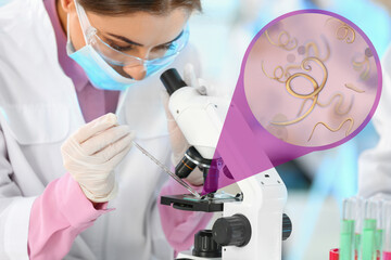 Laboratory worker using modern microscope to examine helminths indoors. Zoomed view on parasitic...