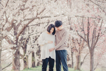 Obraz na płótnie Canvas 桜と赤ちゃんを待つ夫婦