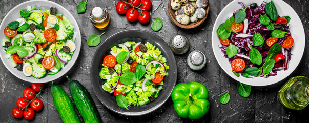 Vegetable salad. A variety of organic salads, vegetables with olive oil and spices .