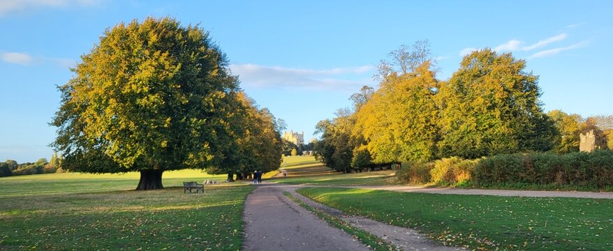 United Kingdom, Nottingham, Wollaton Park, Path 2# (4000 x 1638)