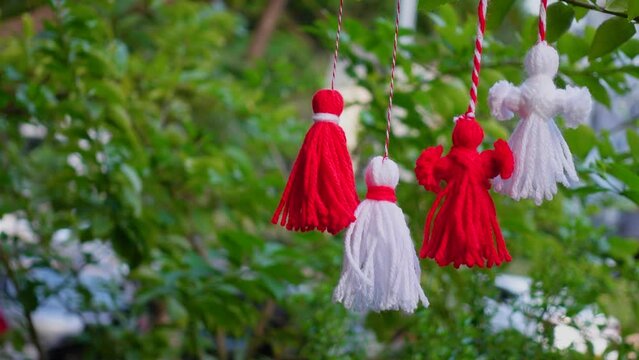 Traditional Martisor on green tree branch - symbol of 1 March, Martenitsa, Baba Marta, beginning of spring and seasons changing in Romania, Bulgaria, Moldova. Greeting and post card for holidays.